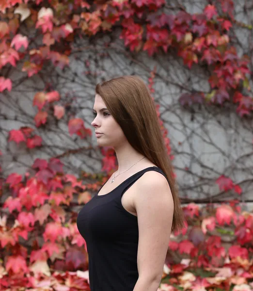 Kateřina Helclová