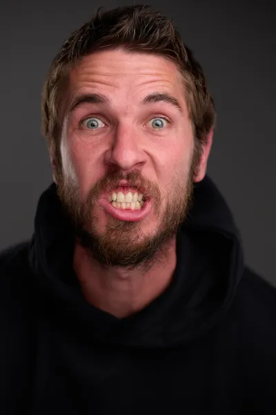 Petr Berka
