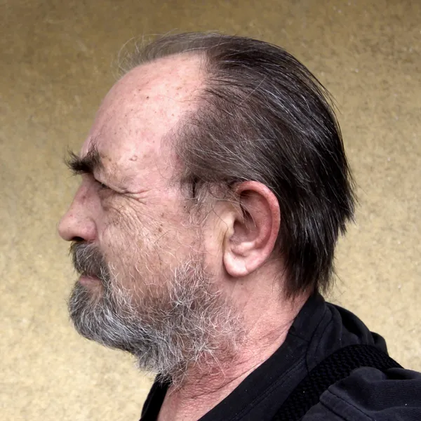 Vladimír T. Gottwald