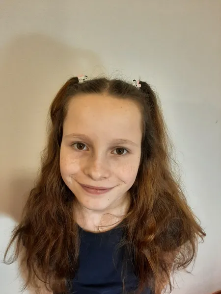 Bára