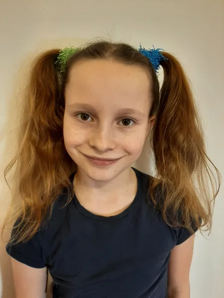 Bára