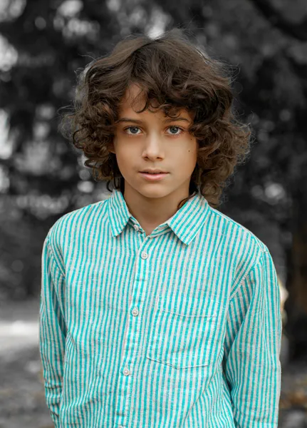 Alex Patrik Plachy